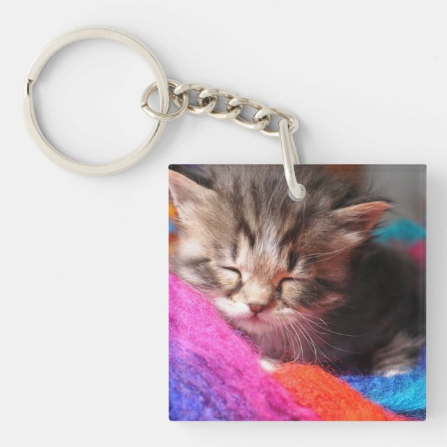 Soft Sleepy Newborn Kitten Phototgraph Key Ring (Front)