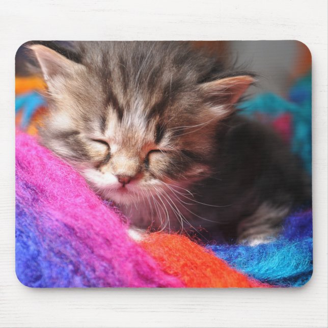 Soft Sleepy Newborn Kitten Phototgraph Mouse Pad (Front)