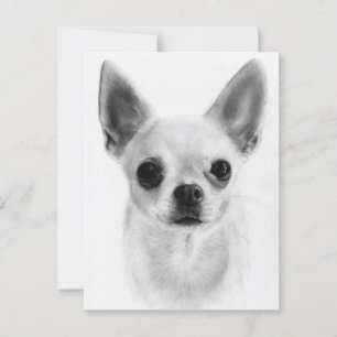 Soft Soul - Hand Drawn Chihuahua Portrait Postcard