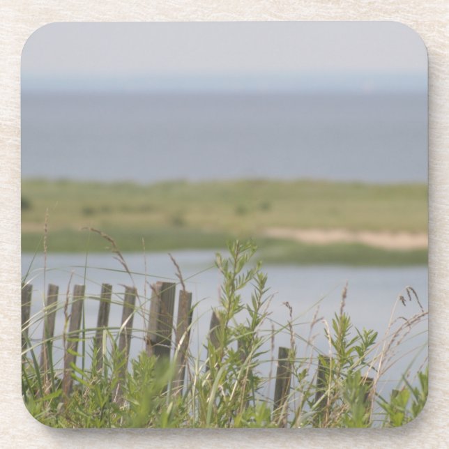 Soft Summer Day at the Beach Coasters (Front)