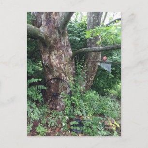 Soft summer rain postcard