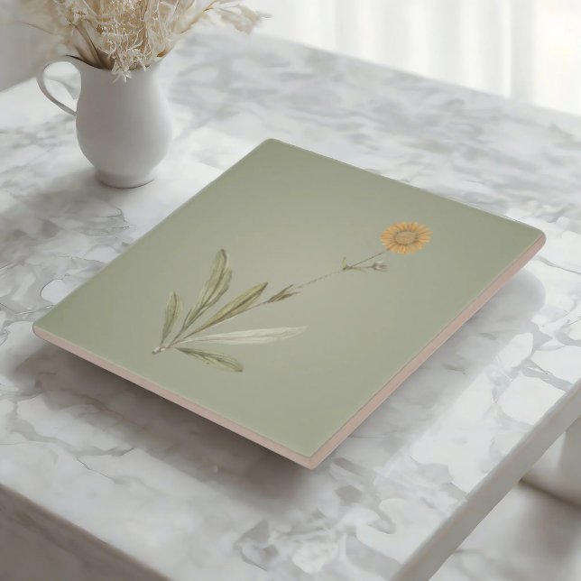 Soft Sunflower Ceramic Tiles (Creator Uploaded)