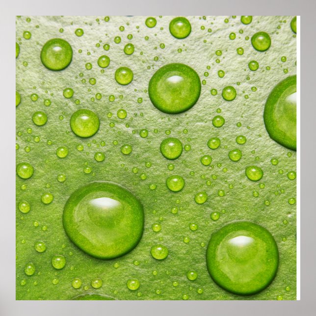 "Soft Touch, Silent Drop" Poster (Front)