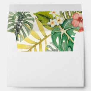 Soft Tropics Envelope