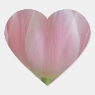 Soft Tulips Heart Sticker