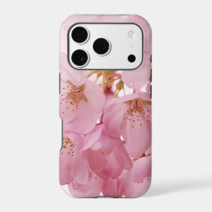 Soft Vintage Pink Cherry Blossoms