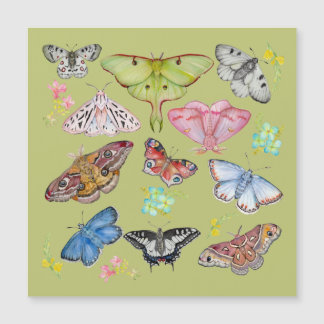 Soft Watercolor Butterfly Dance