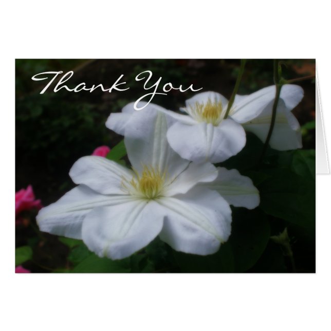Soft White Clematis Floral Thank You Card (Front Horizontal)