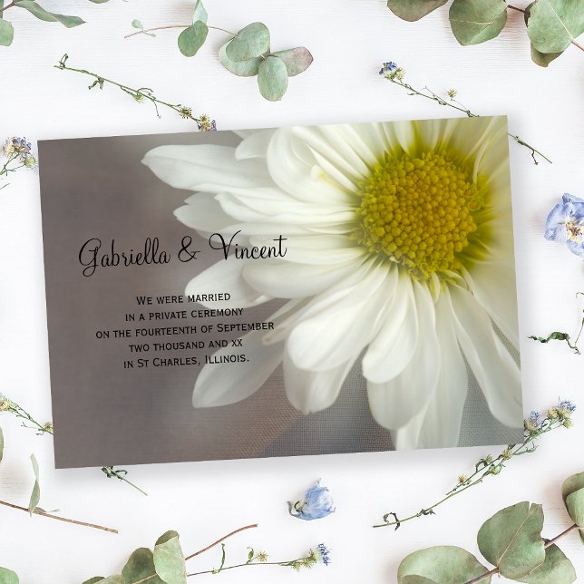 Soft White Daisy Marriage / Elopement Announcement (Creator Uploaded)