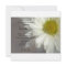 Soft White Daisy on Grey Bridal Shower