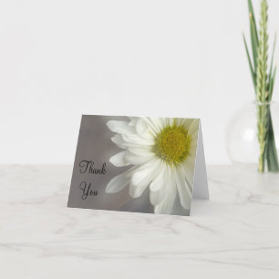Soft White Daisy on Grey Thank You Note Card