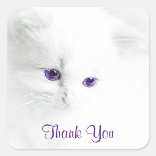 Soft White Kitten with Purple Eyes Thank You Square Sticker