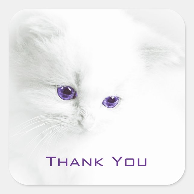 Soft White Kitten with Purple Eyes Thank You Square Sticker (Front)