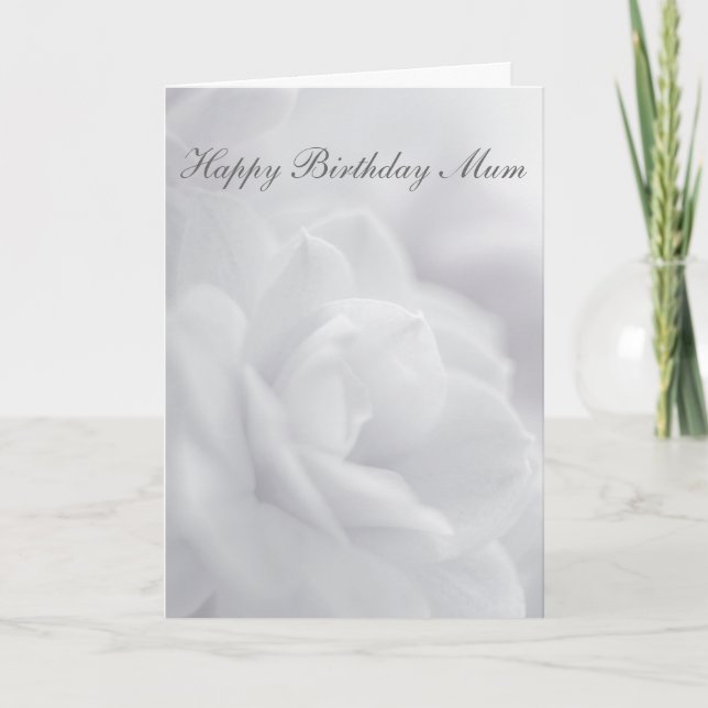 Soft white petals ... card (Front)