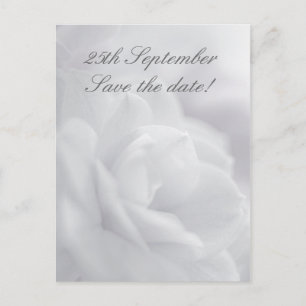 Soft white petals ... Save the date! Announcement Postcard