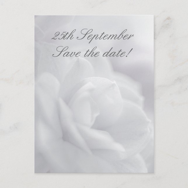 Soft white petals ... Save the date! Announcement Postcard (Front)