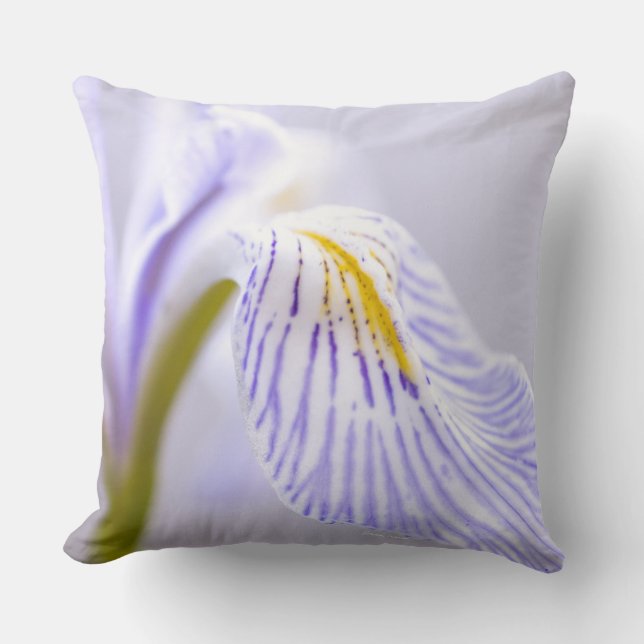 Soft Wild Iris Cushion (Front)