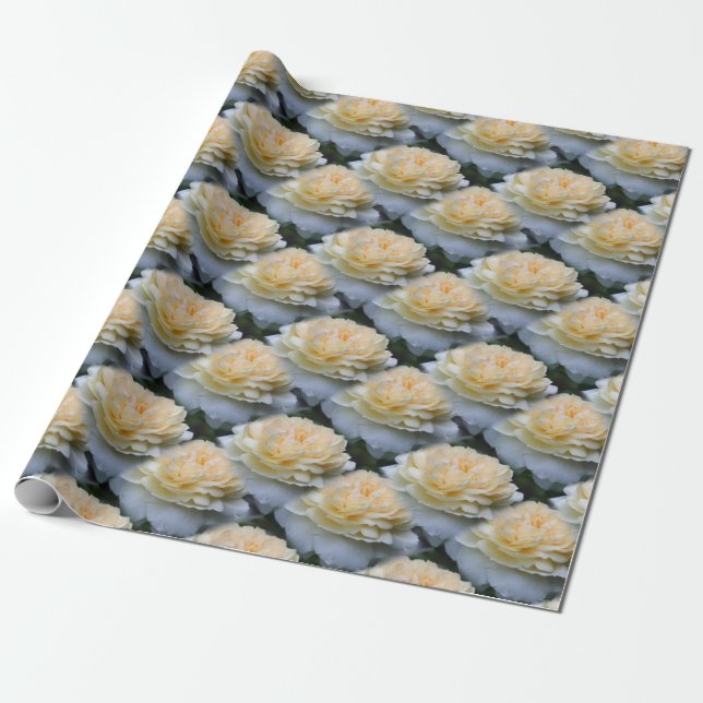 Soft Yellow Rose Flower Pattern Nature    Wrapping Paper (Unrolled)