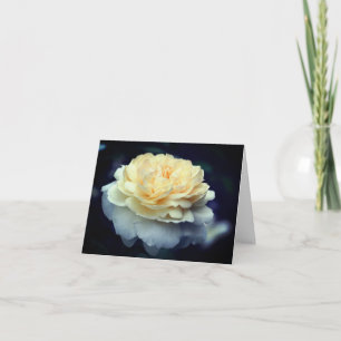 Soft Yellow Rose Flower Photography  Note Card