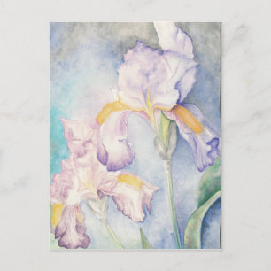 Softest Irises Floral Watercolour Postcard