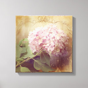 Softly Summer 2 Pink Hydrangeas Floral Vintage Canvas Print