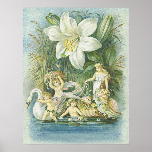 Softness - Fairies, Swan and Flower Poster (Front)
