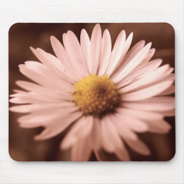 softPinks copy Mouse Pad (Front)