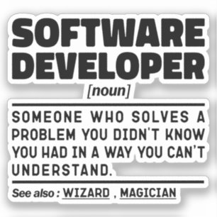 Software Developer Noun Definition Coding Expert