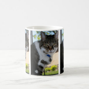 Softy Tabby Cat Mug