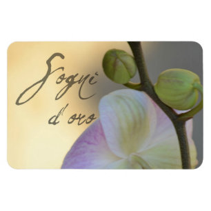 Sogni D'oro (sweet dreams) Orchid Magnet