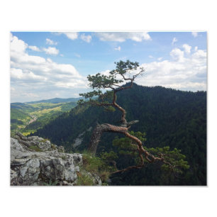 Sokolica, Pieniny Photo Print