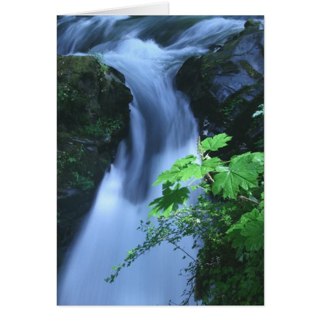 Sol Duc Falls 2 (Front)