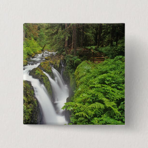 Sol Duc Falls in Olympic National Park in 2 15 Cm Square Badge
