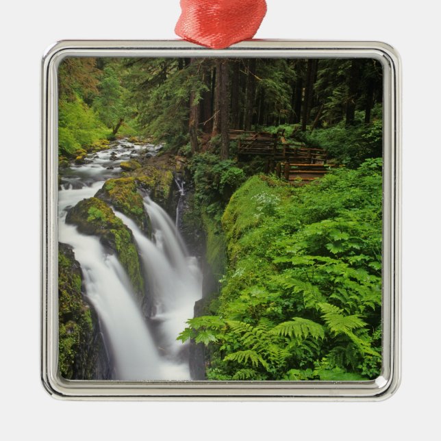 Sol Duc Falls in Olympic National Park in 2 Metal Ornament (Front)