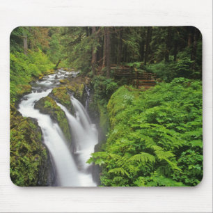 Sol Duc Falls in Olympic National Park in 2 Mouse Pad