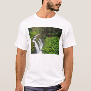 Sol Duc Falls in Olympic National Park in 2 T-Shirt