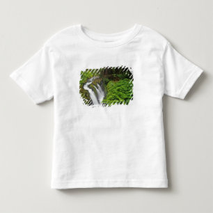 Sol Duc Falls in Olympic National Park in 2 Toddler T-Shirt