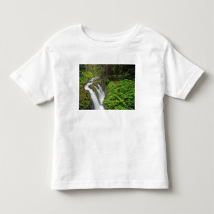 Sol Duc Falls in Olympic National Park in 2 Toddler T-Shirt