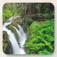 Sol Duc Falls in Olympic National Park in