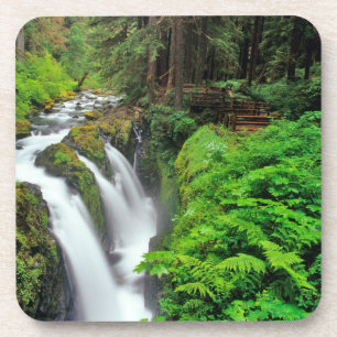 Sol Duc Falls in Olympic National Park in Coaster