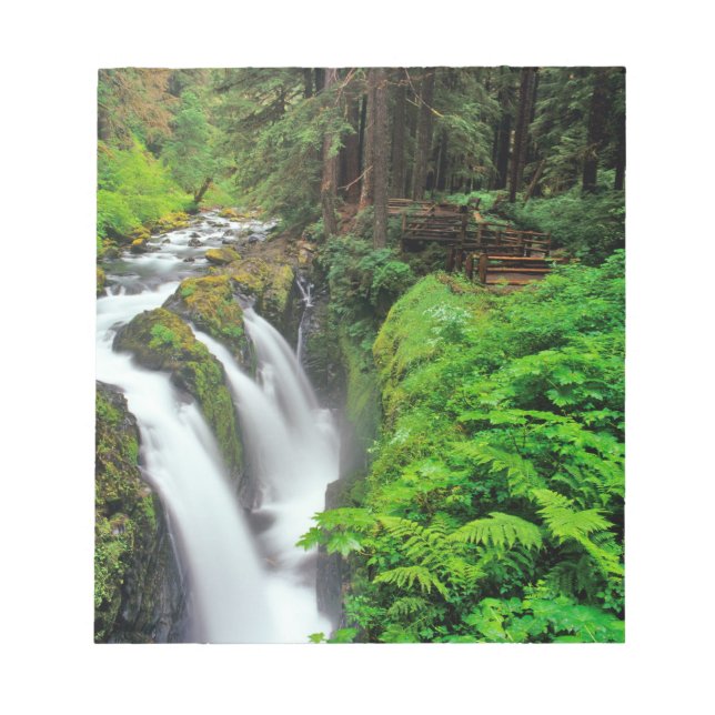 Sol Duc Falls in Olympic National Park in Notepad (Front)