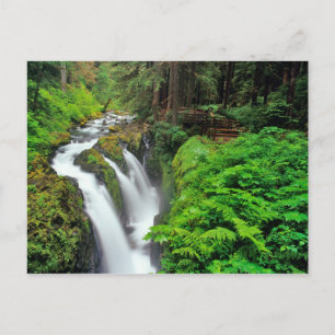 Sol Duc Falls in Olympic National Park in Postcard