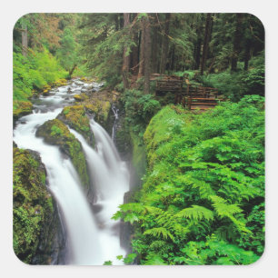 Sol Duc Falls in Olympic National Park in Square Sticker