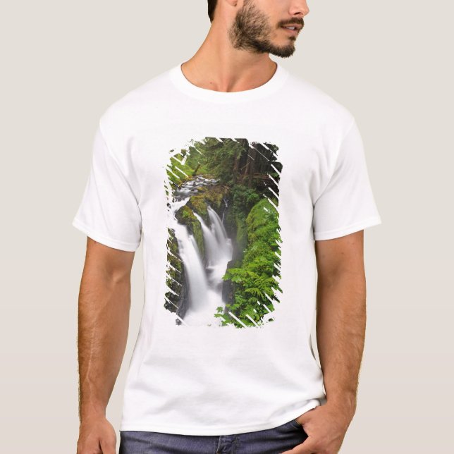 Sol Duc Falls in Olympic National Park in T-Shirt (Front)