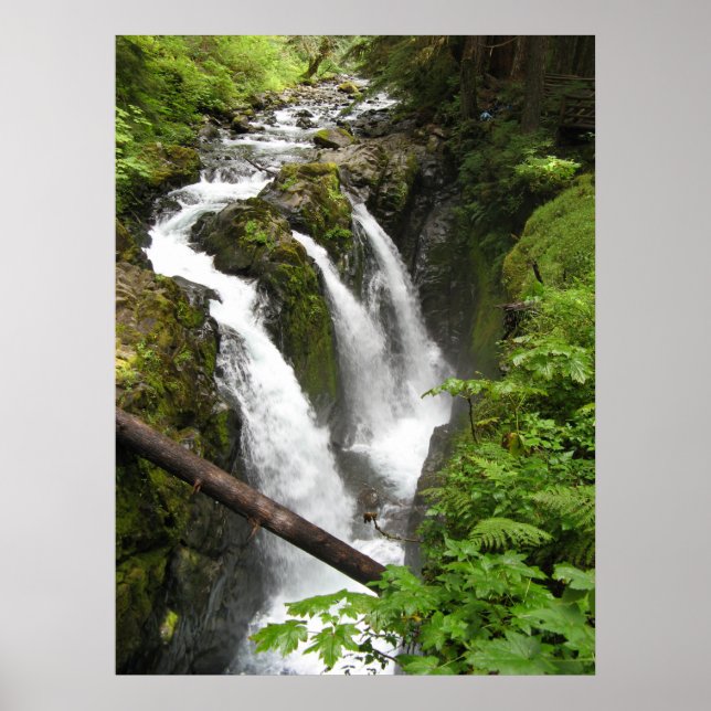 Sol Duc Falls Poster (Front)