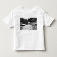 Sol Duc Hot Springs, WA Swimming Pool Photograph