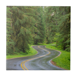 Sol Duc River Road through forest Ceramic Tile