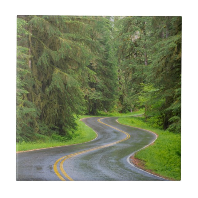 Sol Duc River Road through forest Ceramic Tile (Front)