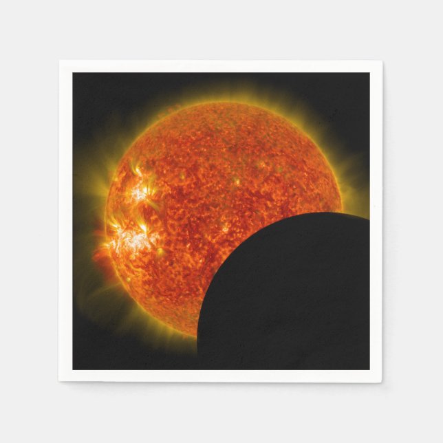 Solar Eclipse in Progress Napkin (Front)