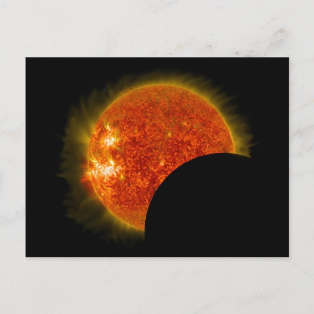 Solar Eclipse in Progress Postcard (Front)